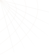 spider-web